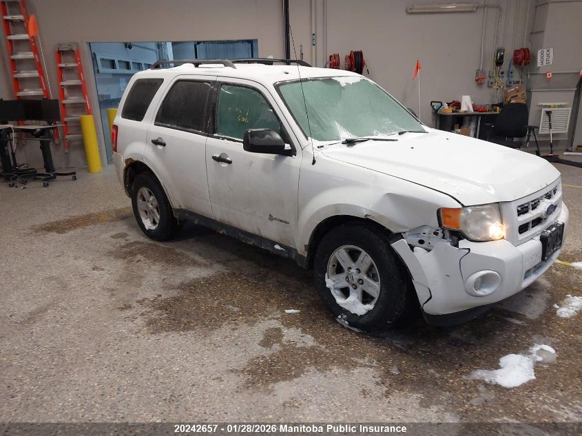 2011 Ford Escape Hybrid