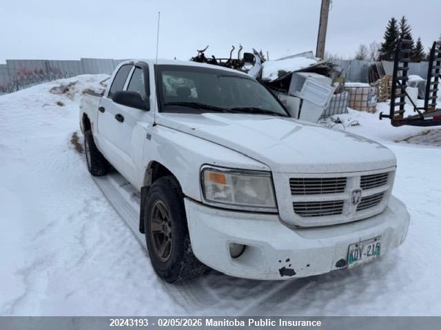 DODGE DAKOTA SXT V8 CREW CAB
