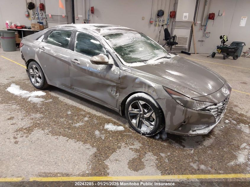 2023 Hyundai Elantra