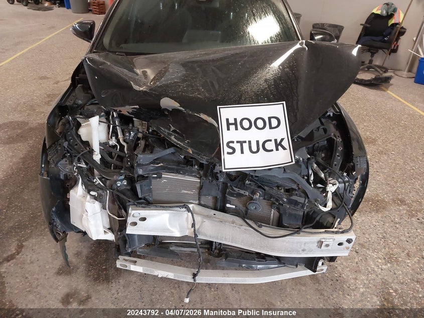 2020 Toyota C-Hr Xle Premium VIN: JTNKHMBX7L1080829 Lot: 20243792