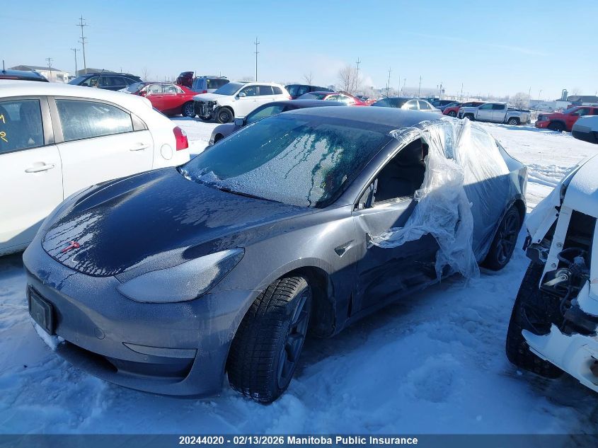 2021 Tesla Model 3 Standard Range Plus 50 VIN: 5YJ3E1EA3MF871360 Lot: 20244020