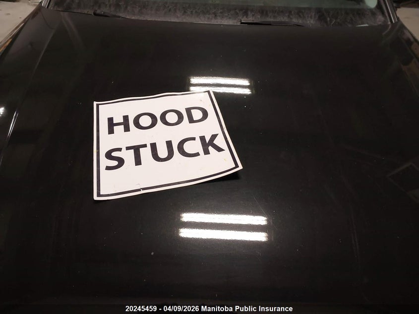 2017 Audi A4 2.0T Quattro VIN: WAUBNAF47HN007033 Lot: 20245459