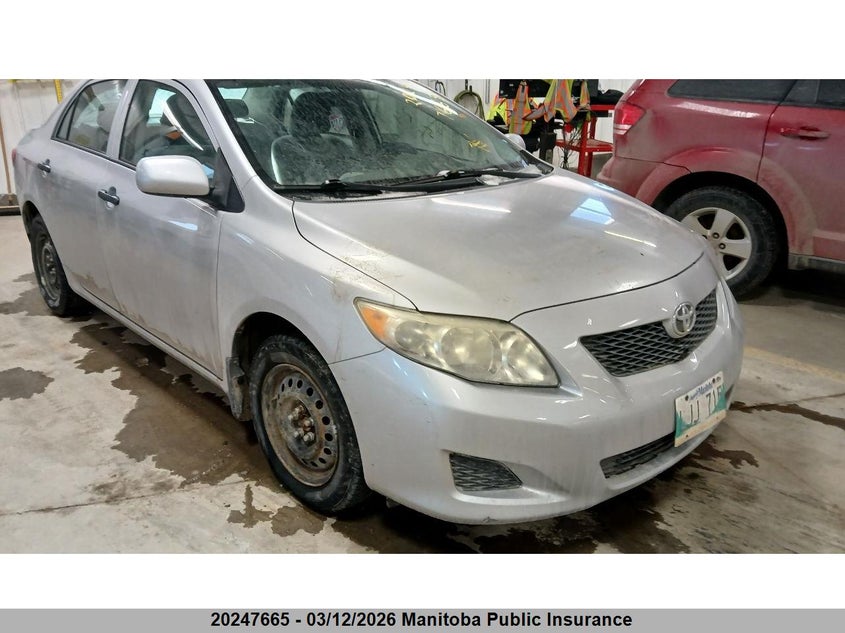 2010 TOYOTA COROLLA