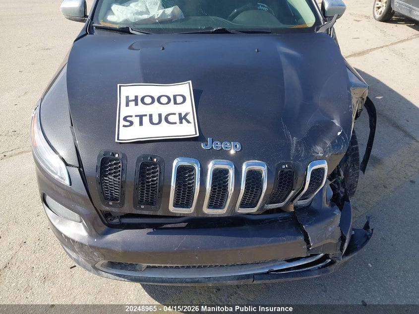 2014 Jeep Cherokee Limited VIN: 1C4PJMDS9EW306102 Lot: 20248965