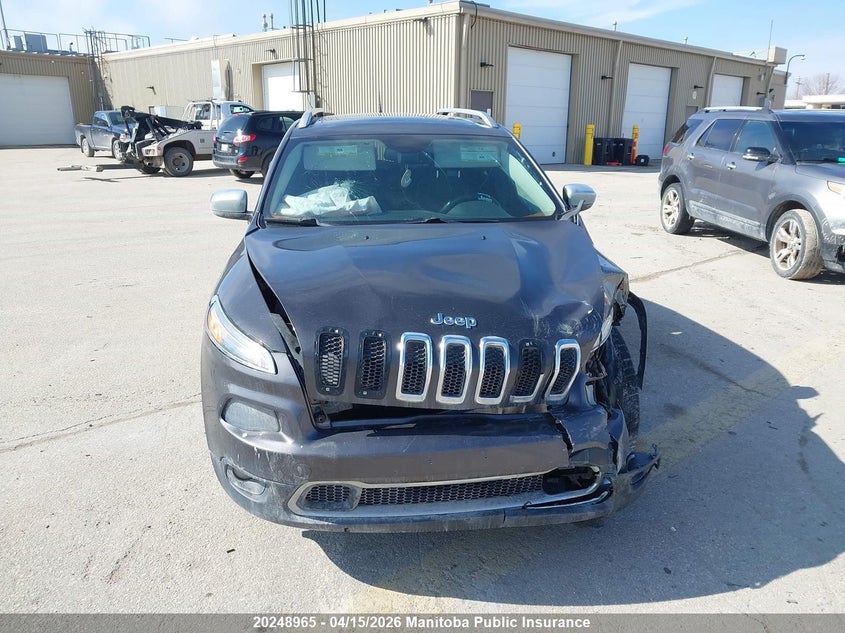 2014 Jeep Cherokee Limited VIN: 1C4PJMDS9EW306102 Lot: 20248965