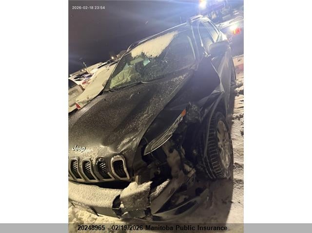 2014 Jeep Cherokee Limited VIN: 1C4PJMDS9EW306102 Lot: 20248965