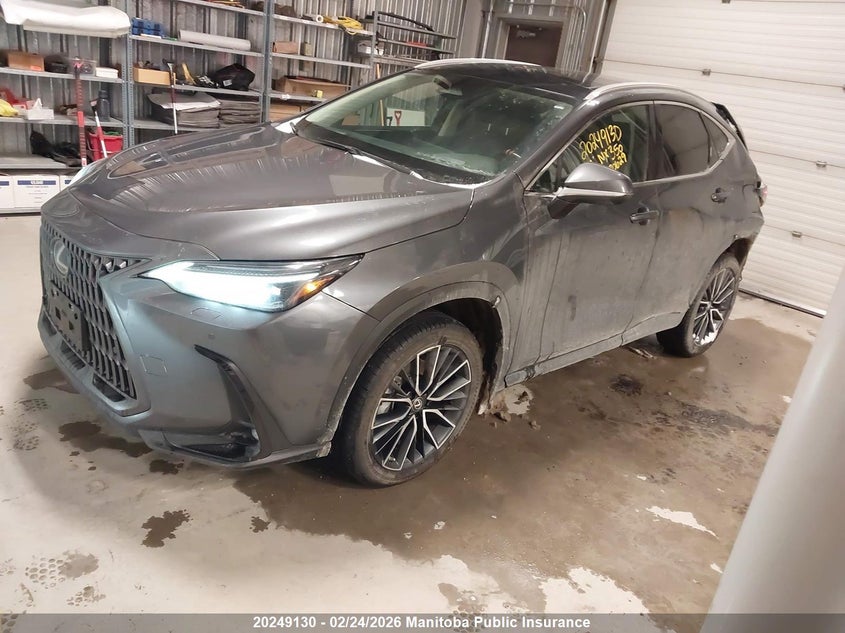 Vin: 2t2ggcez0pc030629, lot: 10260114, lexus nx350 null 20232