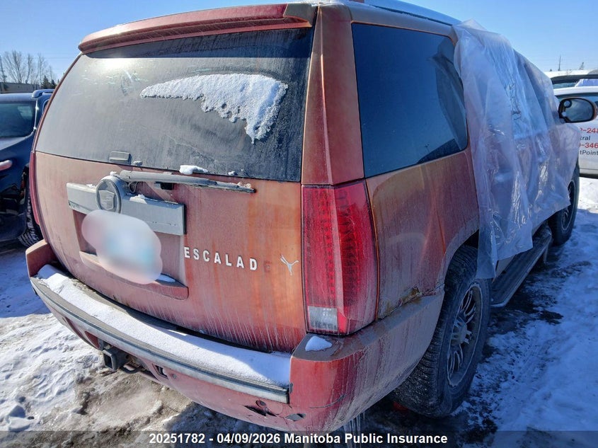 2007 Cadillac Escalade VIN: 1GYFK63897R404181 Lot: 20251782