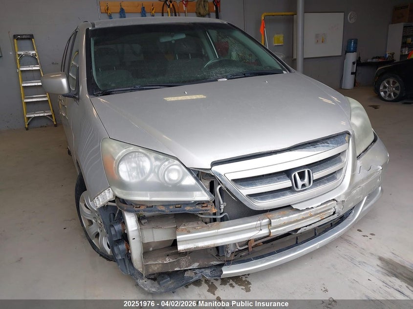 2005 Honda Odyssey Ex VIN: 5FNRL38415B508848 Lot: 20251976