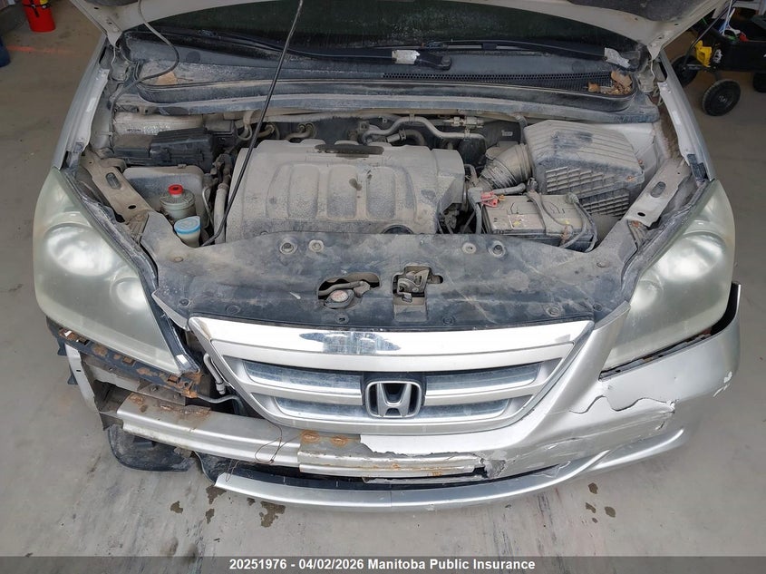 2005 Honda Odyssey Ex VIN: 5FNRL38415B508848 Lot: 20251976