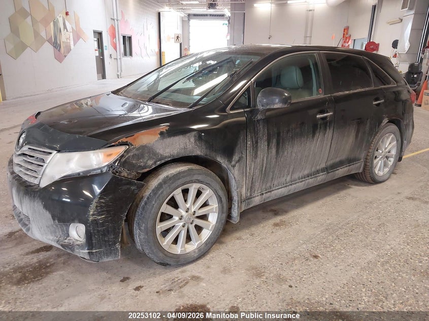2011 Toyota Venza VIN: 4T3BA3BB7BU023327 Lot: 20253102