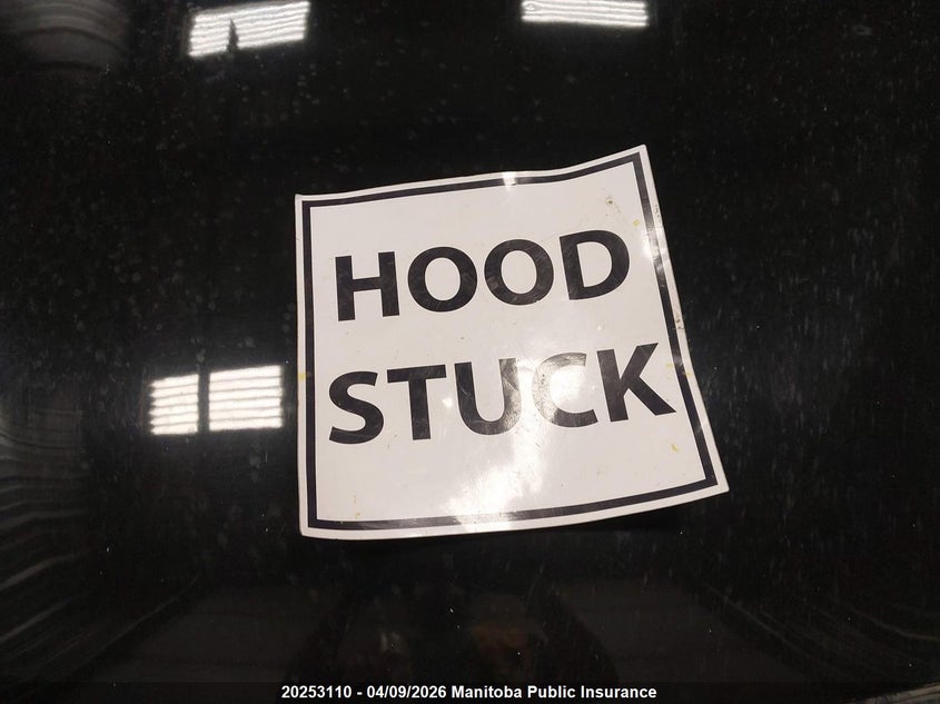 2014 Infiniti Q50 VIN: JN1BV7AR0EM700555 Lot: 20253110