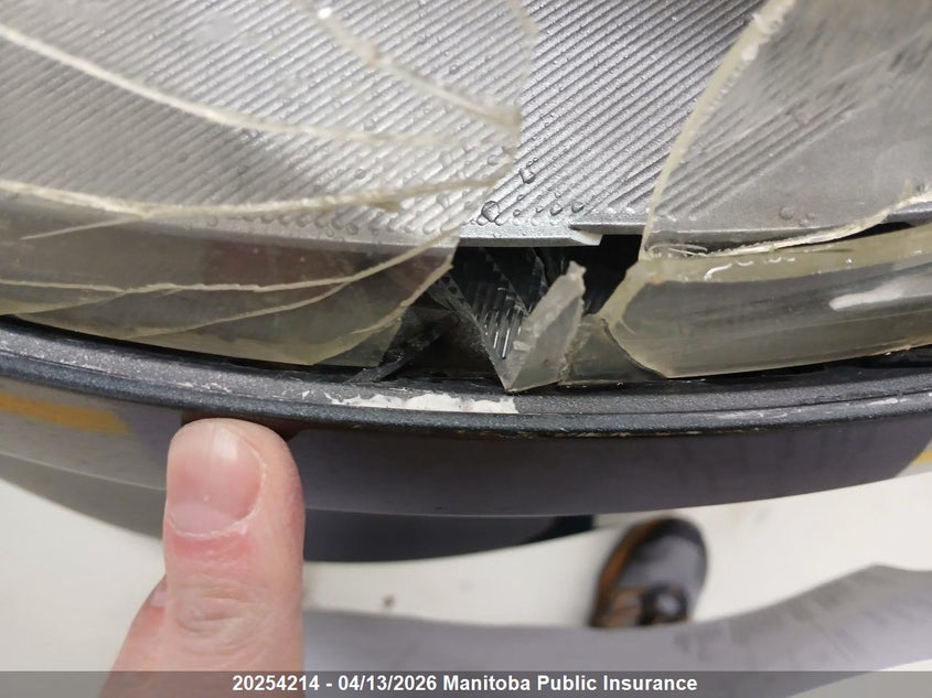 2009 Acura Rdx VIN: 5J8TB18299A006021 Lot: 20254214