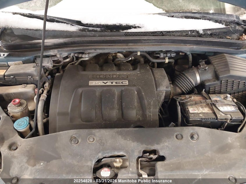 2007 Honda Odyssey Ex VIN: 5FNRL38437B508014 Lot: 20254828