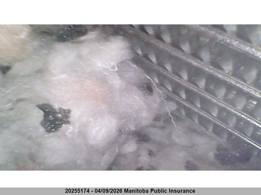 1998 Honda Cr-V Lx VIN: JHLRD185XWC809310 Lot: 20255174