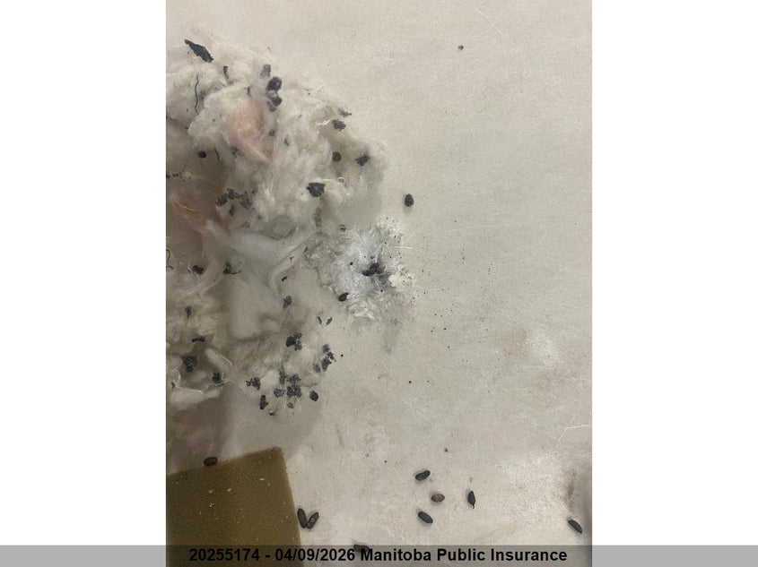 1998 Honda Cr-V Lx VIN: JHLRD185XWC809310 Lot: 20255174