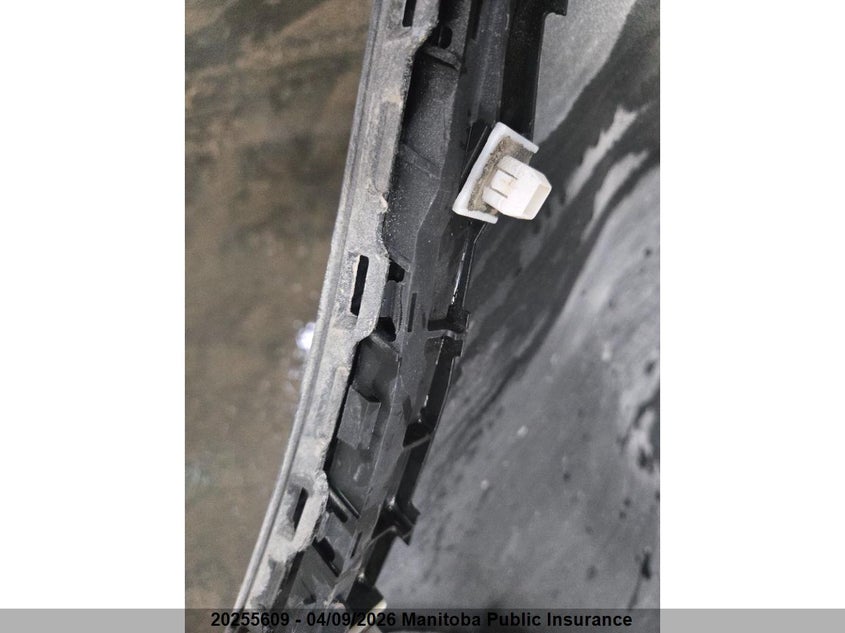 2007 Acura Rdx VIN: 5J8TB18297A802846 Lot: 20255609