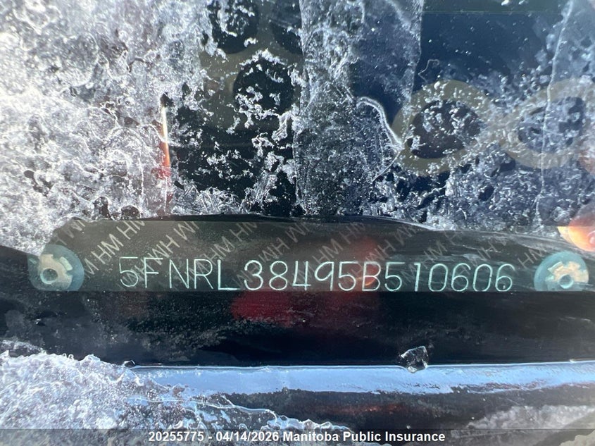 2005 Honda Odyssey Ex VIN: 5FNRL38495B510606 Lot: 20255775