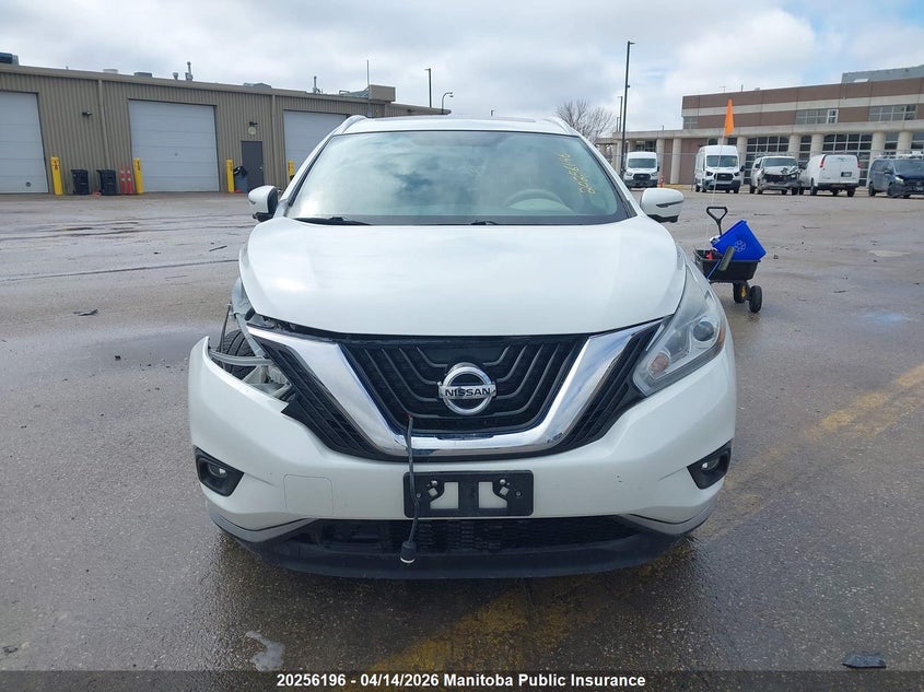 2016 Nissan Murano Platinum VIN: 5N1AZ2MHXGN133945 Lot: 20256196