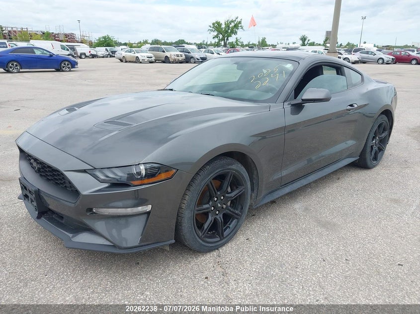 Vin: 1fa6p8th0j5164459, lot: 10273222, ford mustang 20182