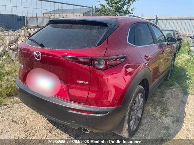 Vin: 3mvdmbcm1sm763868, lot: 10275550, mazda cx-30 gs null 20254