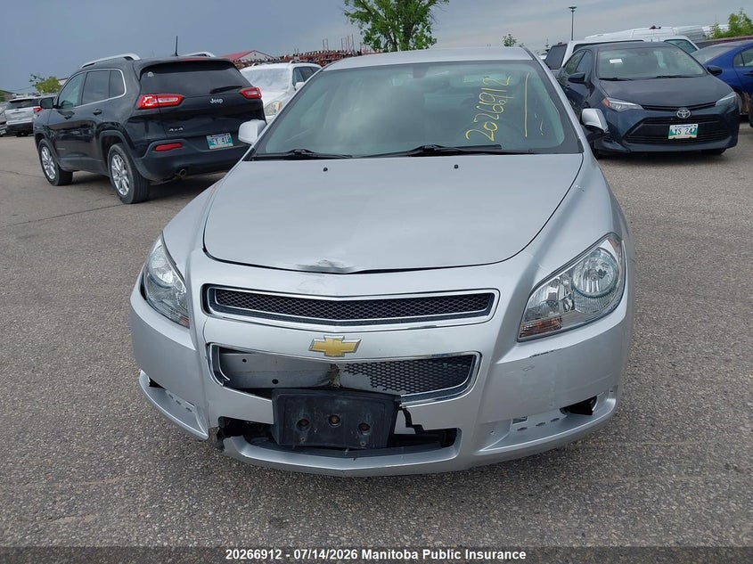 AtlanticExpress - Chevrolet Malibu Limited