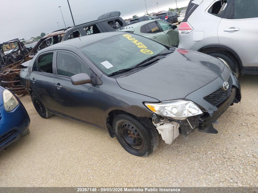 Vin: 2t1bu4ee6ac248883, lot: 10278132, toyota corolla ce 2010 img_1