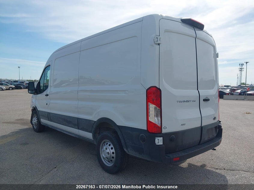 2025 FORD TRANSIT 250 WB 148 CARGO VAN VAN GAS