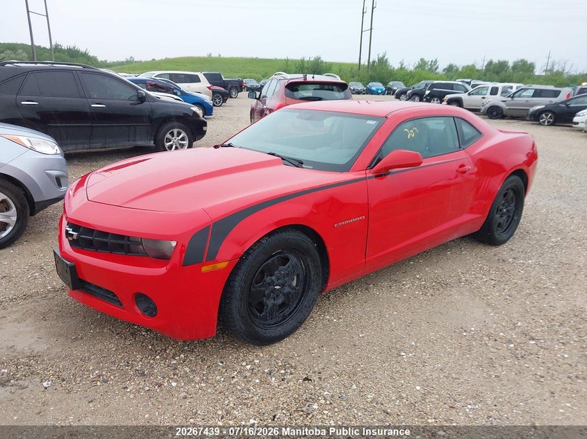 AtlanticExpress - Chevrolet Camaro