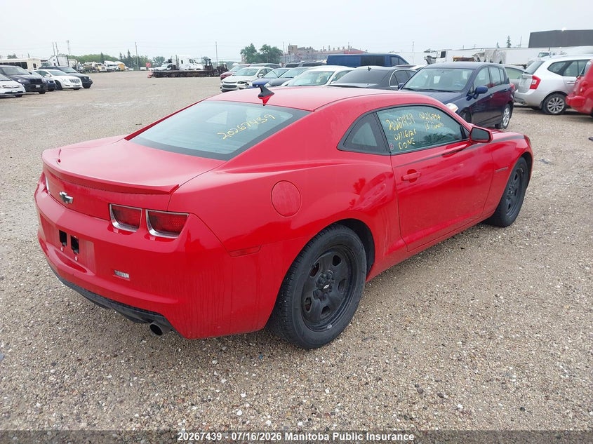 AtlanticExpress - Chevrolet Camaro