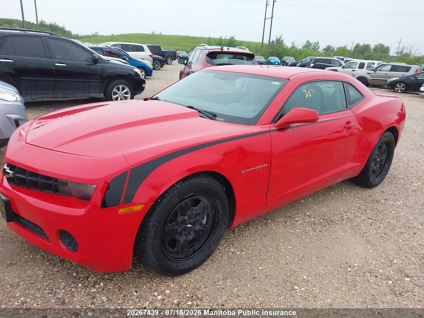AtlanticExpress - Chevrolet Camaro