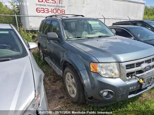 Vin: 1fmcu0d72akb38505, lot: 10278574, ford escape xlt 2010 img_1