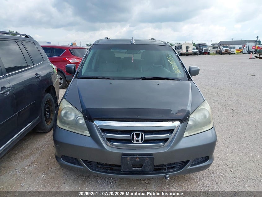 2007 Honda Odyssey Ex VIN: 5FNRL38747B501101 Lot: 20269251
