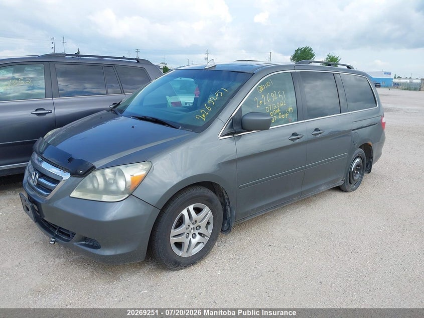2007 Honda Odyssey Ex VIN: 5FNRL38747B501101 Lot: 20269251