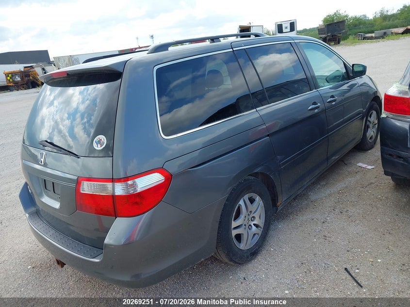 2007 Honda Odyssey Ex VIN: 5FNRL38747B501101 Lot: 20269251