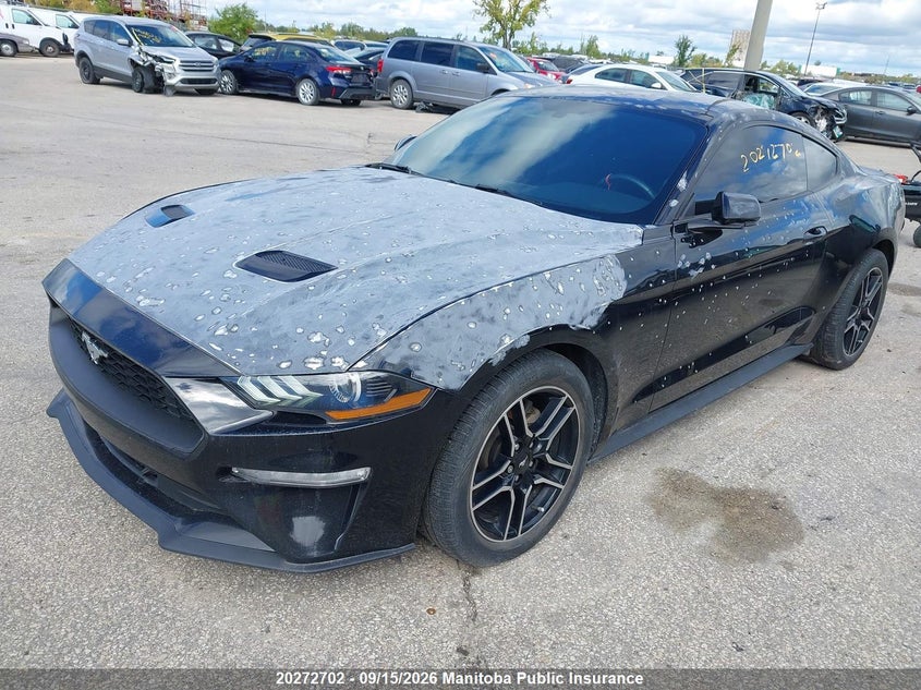 Vin: 1fa6p8th3k5103107, lot: 10283686, ford mustang 20192