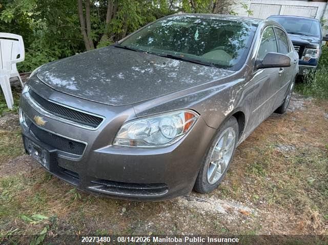 Vin: 1g1zb5eu7bf387097, lot: 10284464, chevrolet malibu ls 20112