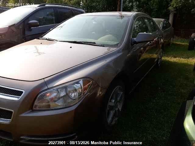 2011 Chevrolet Malibu, Hail, IAAI, VIN 1G1ZD5EU3BF194259 — photo 2