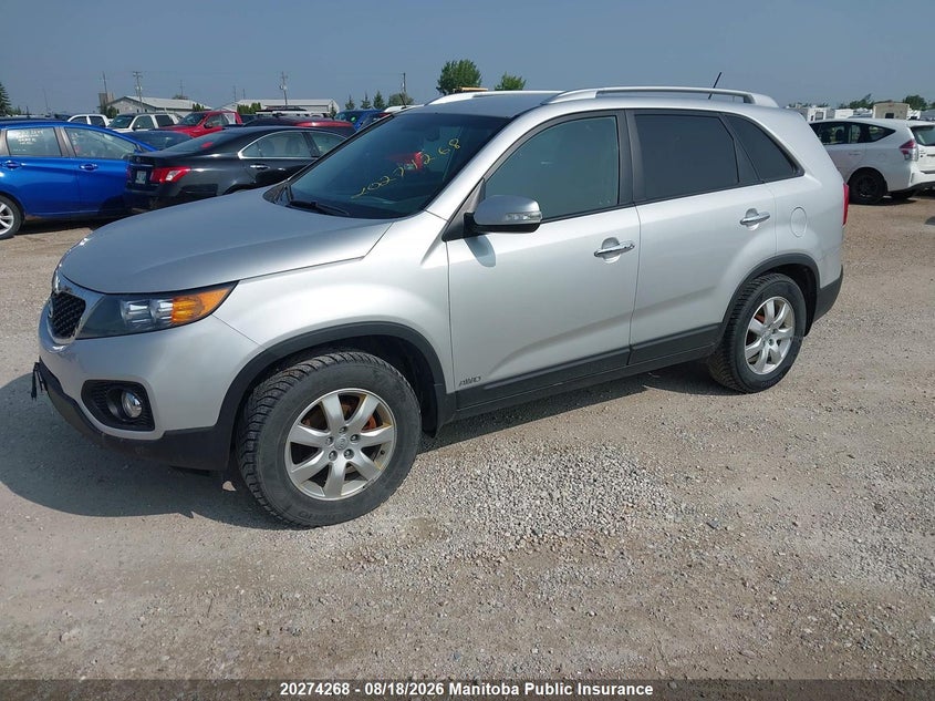 2013 Kia Sorento, Hail, IAAI, VIN 5XYKTDA21DG377699 — photo 2