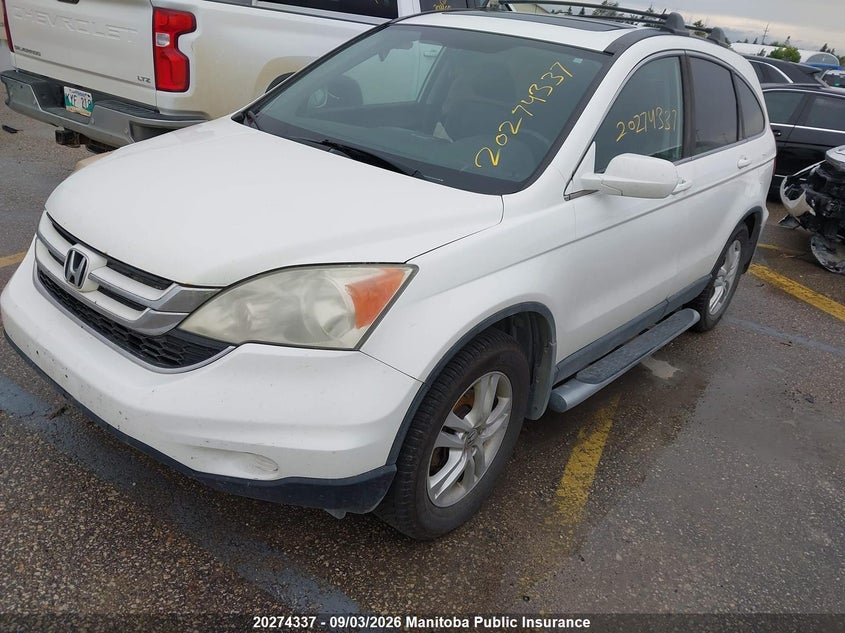 2011 Honda CR-V, Правий зад, IAAI, VIN 5J6RE4H73BL800210 — фото 2