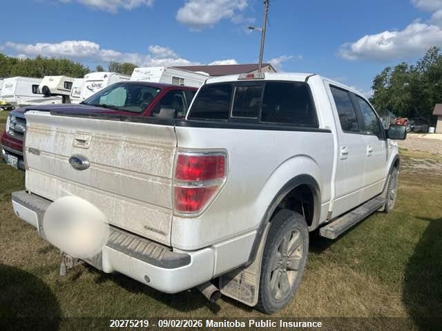 2013 FORD F150 FX4 SUPERCREW PICKUP 5.0L V8 FI DOHC 32V NF4