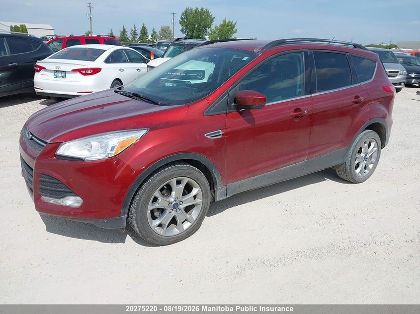 2014 Ford Escape, Град, IAAI, VIN 1FMCU0GX9EUC12430 — фото 2