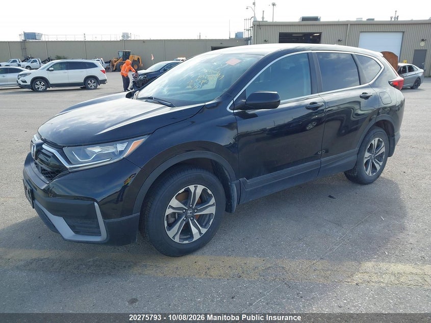 Vin: 2hkrw2h25mh205006, lot: 10286777, honda cr-v lx 20212