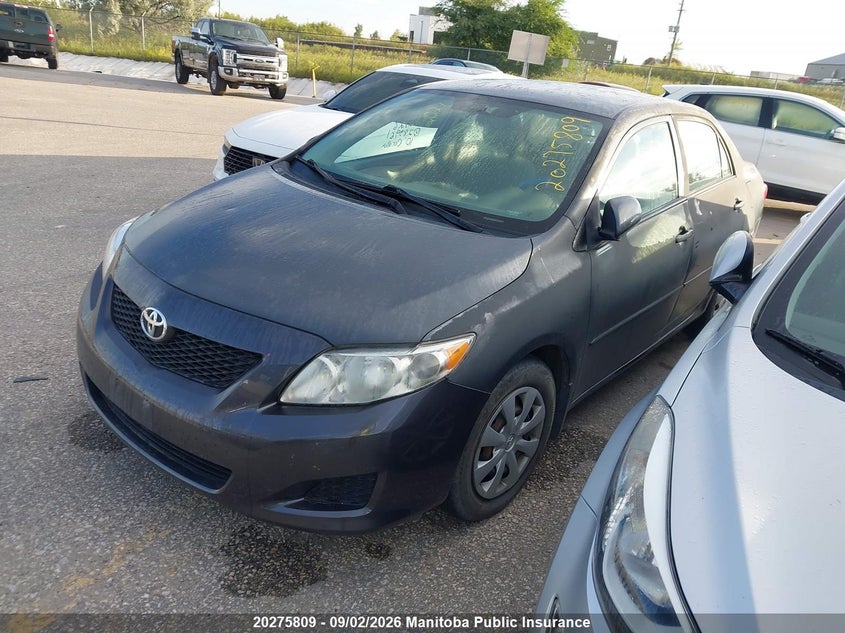 2010 TOYOTA COROLLA SEDAN GAS