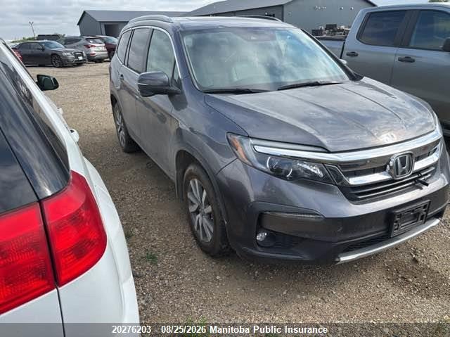 Vin: 5fnyf6h78mb506303, lot: 10287187, honda pilot ex-l 20211