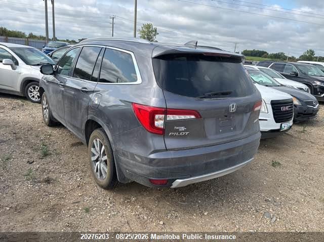 Vin: 5fnyf6h78mb506303, lot: 10287187, honda pilot ex-l 20213