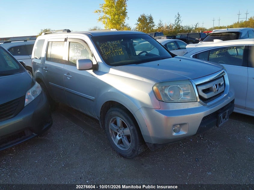 Vin: 5fnyf4h48ab018118, lot: 10287588, honda pilot ex 2010 img_1