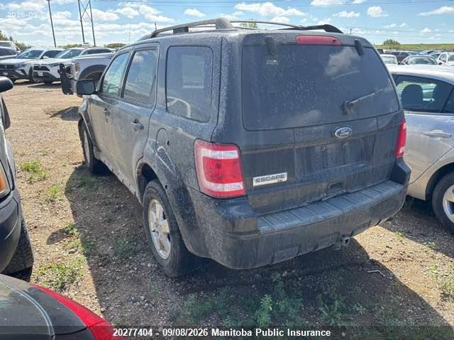 Vin: 1fmcu9dg9aka84513, lot: 10288388, ford escape xlt v6 20103