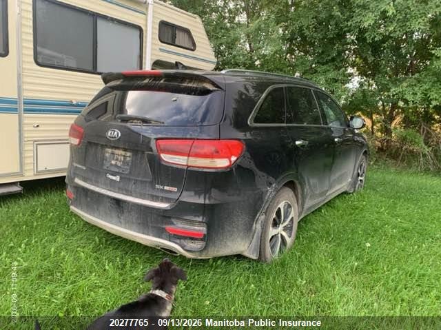 Vin: 5xypkda14gg034521, lot: 10288749, kia sorento sx turbo 20164