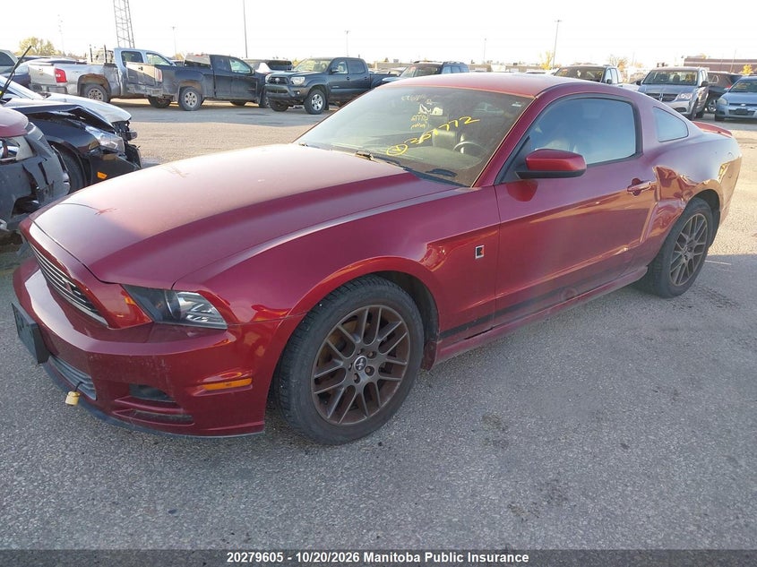 Vin: 1zvbp8am3e5307772, lot: 10290589, ford mustang 20142
